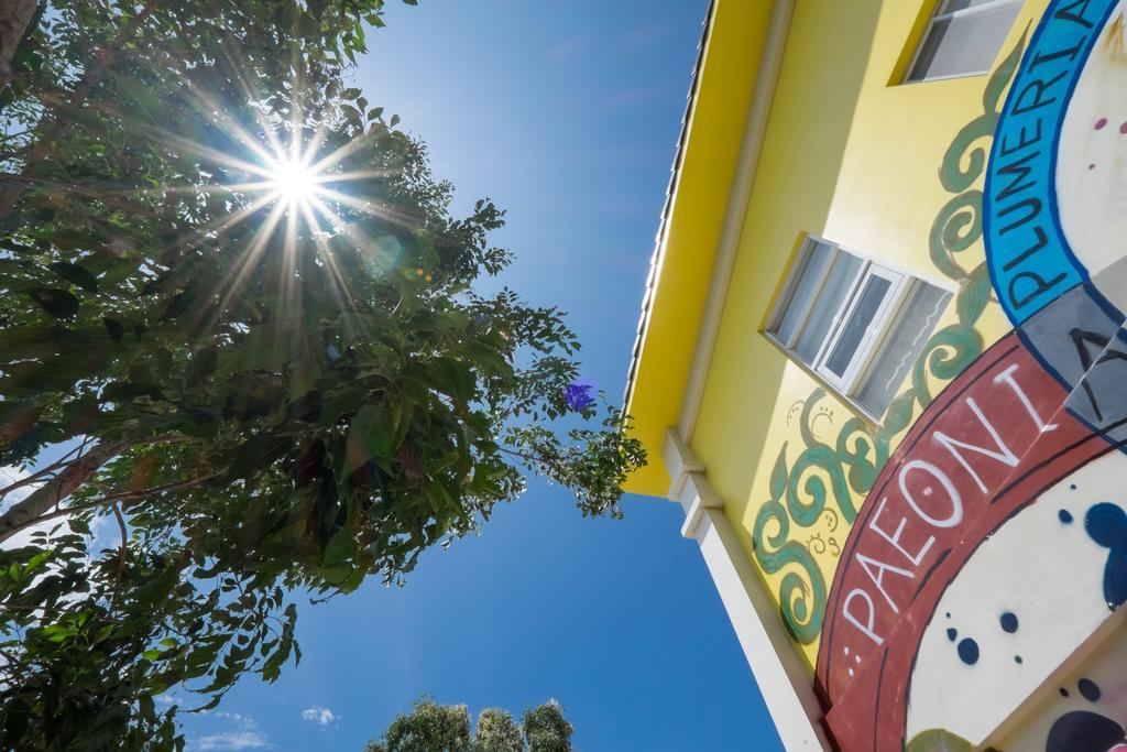 Straybirds Apartamento Donghe Exterior foto